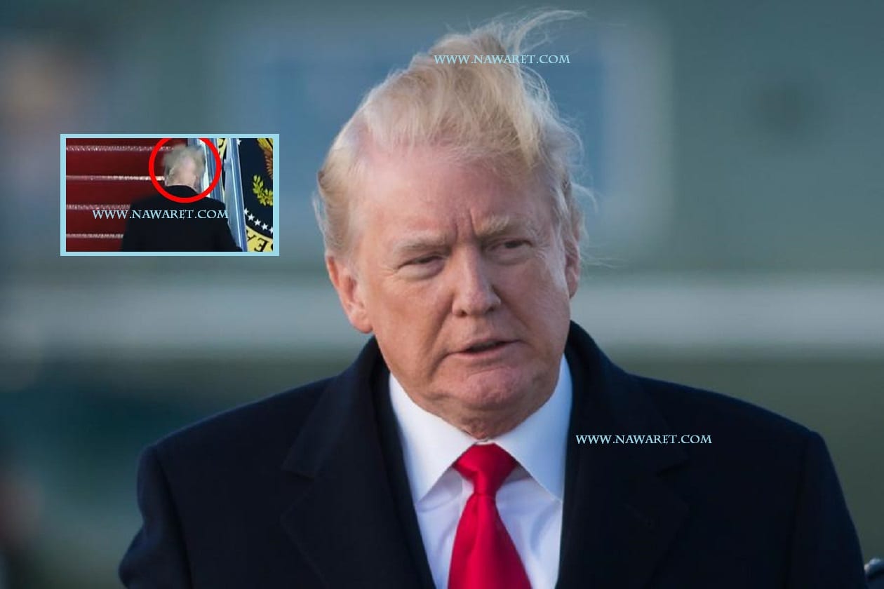 Video of Donald Trump's hair blowing in the wind fuels speculation over president's hair loss