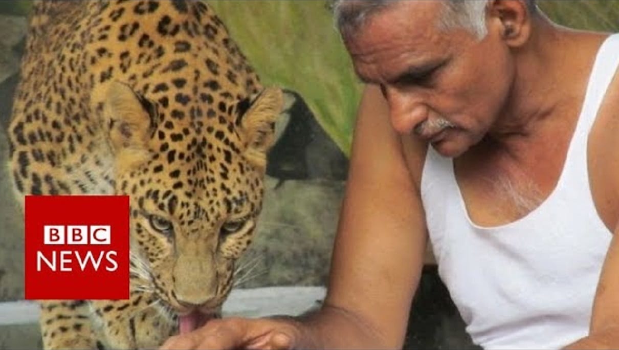 Indian man shares his house with leopards and bears