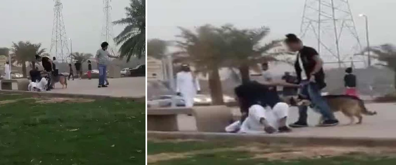 بالفيديو – شبان يروّعون المارة بالكلاب في ممشى الهجرة بالمدينة المنورة
