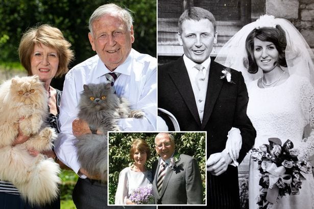 Couple who got divorced because of wife's 10 cats have remarried - even though she has 30 more