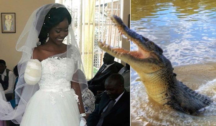شاهد.. تمساح يقضم ذراع عروس في زيمبابوي لكنها تقرر مواصلة الزفاف