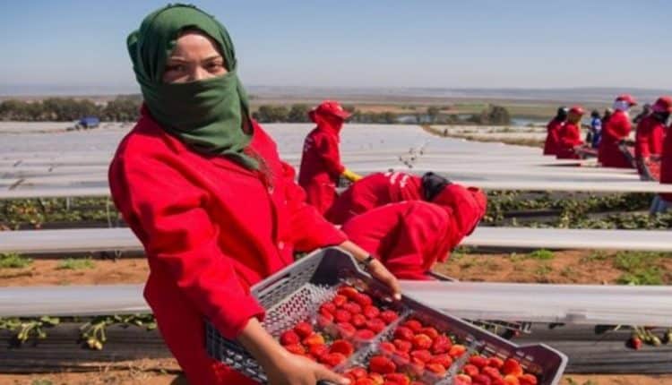 فضيحة.. استغلال جنسي لمغربيات بإسبانيا وشهادات صادمة