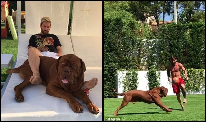 Lionel Messi plays football with his dog