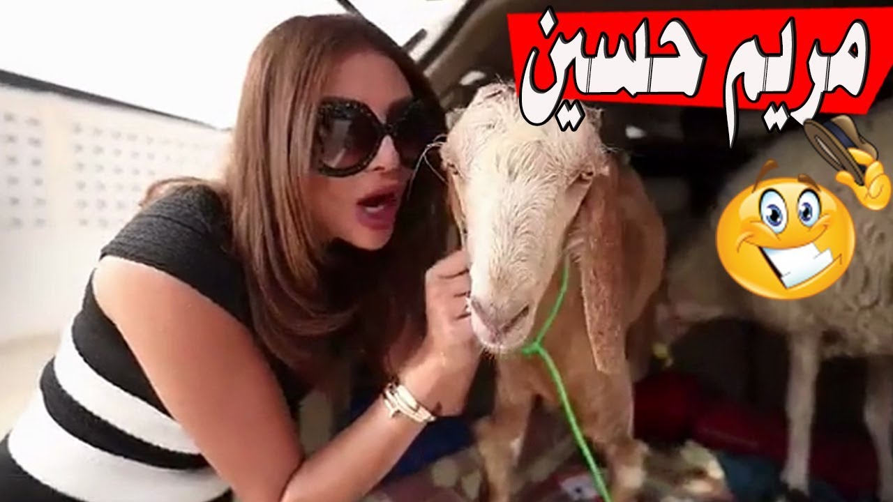 شاهدوا.. مريم حسين تختار خروف العيد بطريقة مضحكة