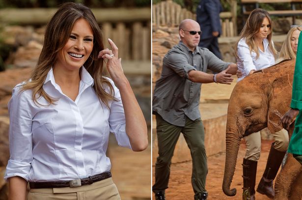 Melania Trump nearly gets knocked over by baby elephant in Kenya