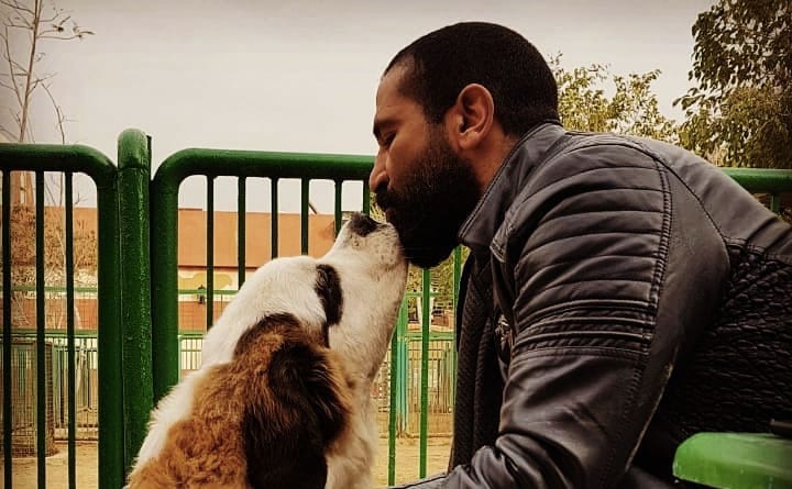 احمد سعد يقبل كلبه من فمه
