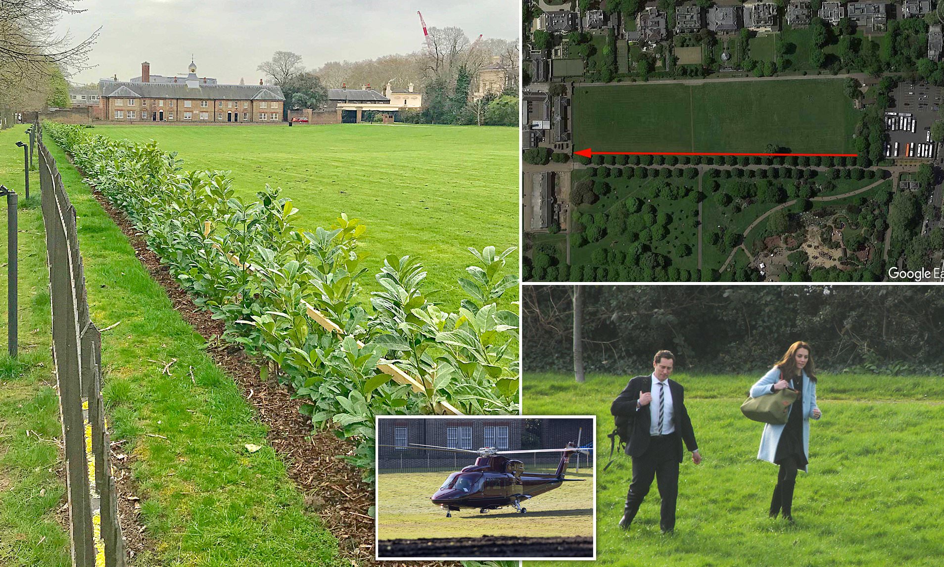 Kensington Palace spends £15,000 extending massive 950ft-long hedge 'to block the public from watching royals flying in and out by helicopter'