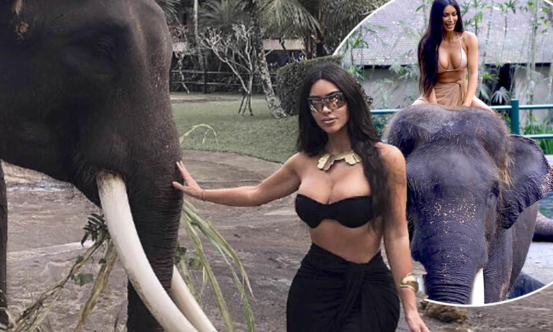 'That elephant looks so sad': Vegans slam Kim Kardashian for posing with a rescue animal on a luxury holiday in Bali