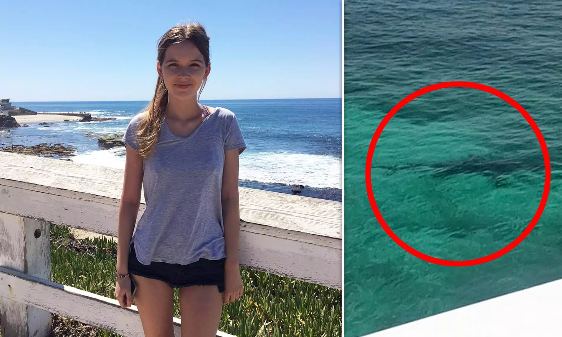 Bahamas shark attack: Torrance woman dies after being bitten by shark while snorkeling