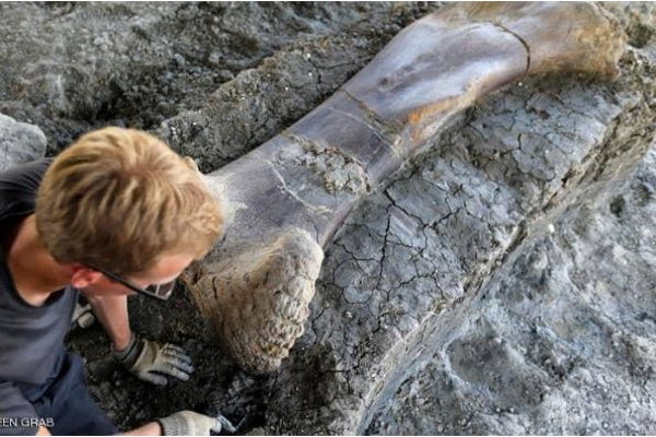 Giant dinosaur bone found in southwestern France