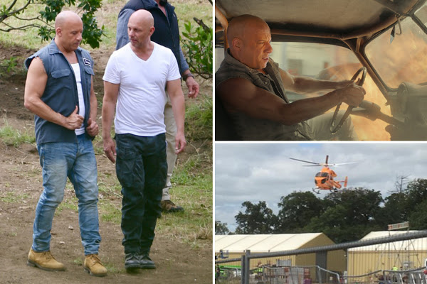Vin Diesel's Fast And Furious body double falls 30ft onto his head in horrific stunt accident leaving the Hollywood star tearful and in 'total shock' as crew at Warner Brothers UK studio 'fear the worst'