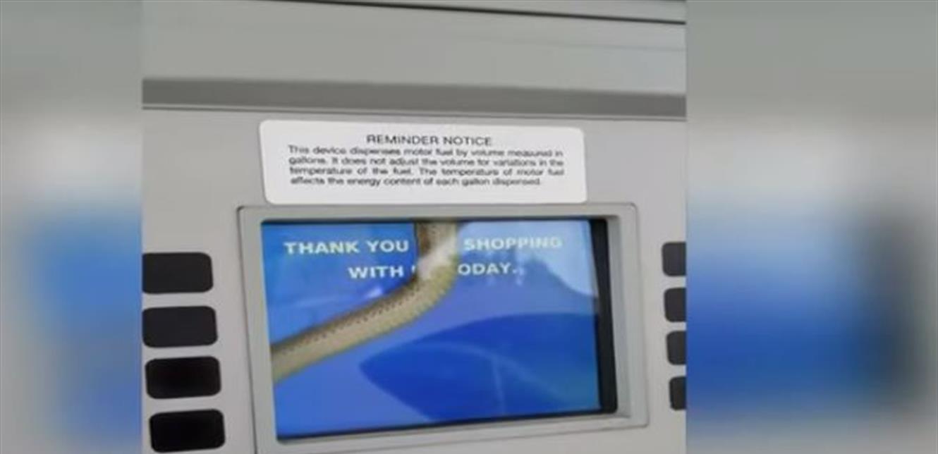 Woman spots snake in gas pump’s screen in Gardner