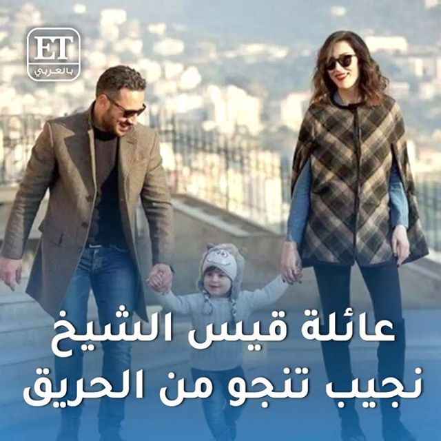 قيس الشيخ نجيب