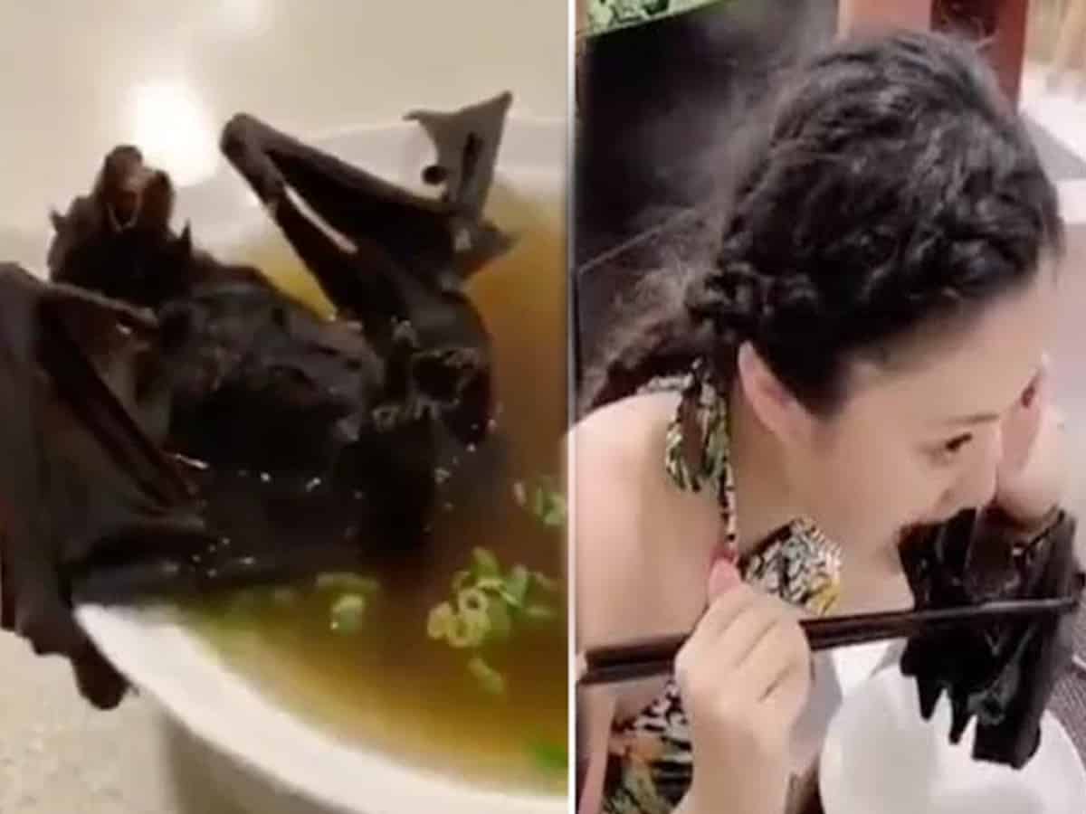 Experts think ‘Chinese virus’ linked to bat soup
