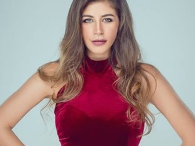 الفنانة"ملك قورة"