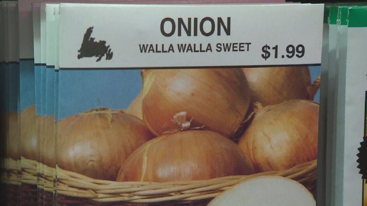 'Overtly sexual' onions get Facebook reprieve