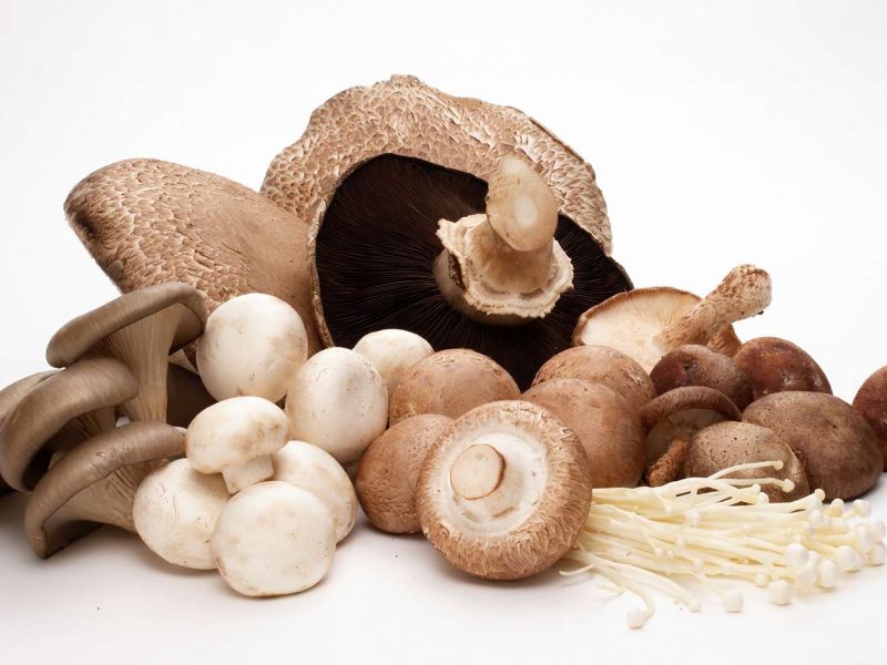 Mushrooms-1