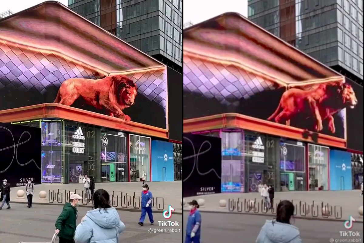 Shopping centre in China, 3D advertisement only 5G technology, lion advertisement, scary lion in cheng