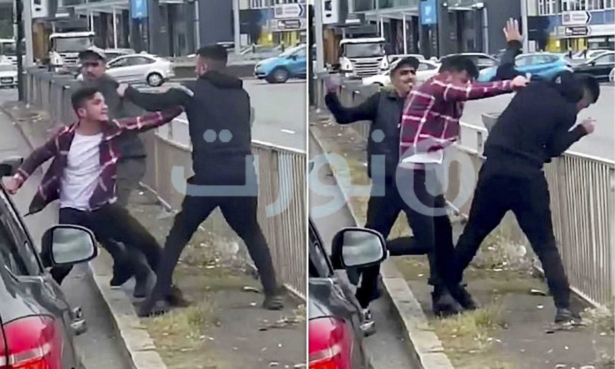 Video captures moment two thugs assault motorist in road