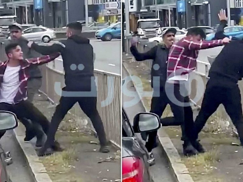 Video captures moment two thugs assault motorist in road