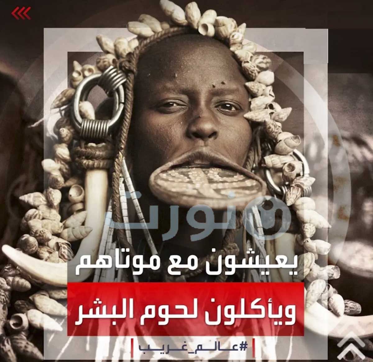 يعيشون مع موتاهم ويأكلون لحوم البشر