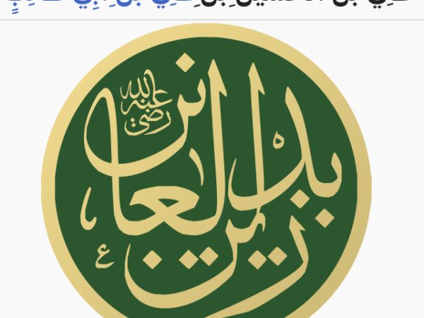 سلام على ابن فاطمة الذي بجده انبياء الله قد ختموا